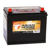 Asian Horse 70L прям. пол. 630A 260x172x220