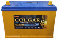 COUGAR EFB Asia 95Ah обр. пол. 900А 305x175x220