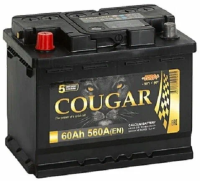 COUGAR Power 60Ah прям. пол. 560А 242x175x190