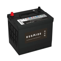 BUSHIDO Asia 75D23L 65R обр. пол. 640A 232x172x220
