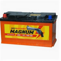 Magnum 90L прям. пол. 700A 353x175x190