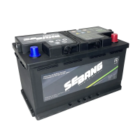 SEBANG AGM 80Ah обр. пол. 800A 315x175x190