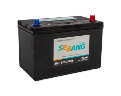 SEBANG Asia 100R обр. пол. 830A 306x173x220 (CMF125D31KL) ниж.креп.