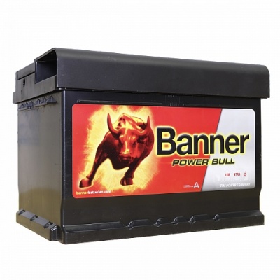 BANNER Power Bull (560 09) 60R обр. пол. 540A низкий 242x175x175