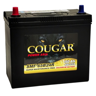 COUGAR Asia SMF 50Ah прям. пол. 480А 238x127x220 (65B24R) без бортика, тонк.кл.