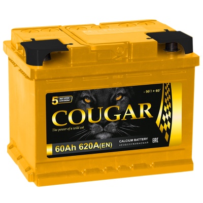 COUGAR PRO 60Ah прям. пол. 600А 242x175x190