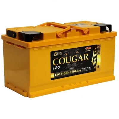 COUGAR PRO 110Ah обр. пол. 920А 353x175x190