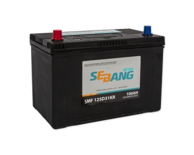 SEBANG Asia 100Ач прям. пол. 830A 306x173x220 (CMF125D31KR) ниж.креп.