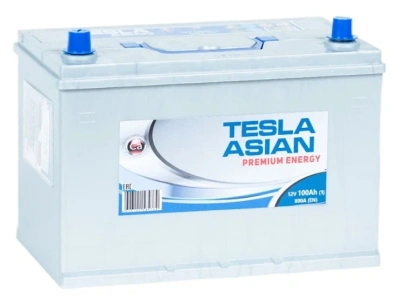 TESLA ASIA 100L прям.пол. 800A 306X173X220