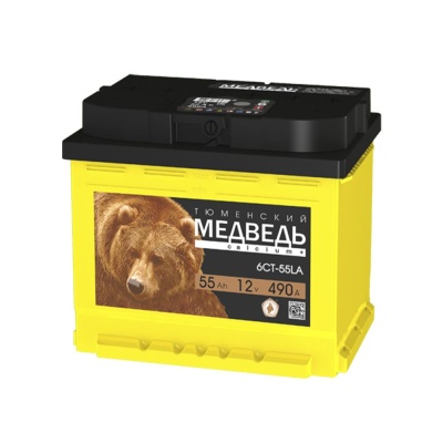 МЕДВЕДЬ SILVER 55L прям. пол. 510A 207x175x190