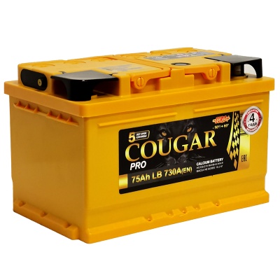 COUGAR PRO 75Ah обр. пол. 750А 278x175x190