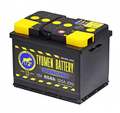 Тюмень Standart 60R обр. пол. 550A 242x175x190