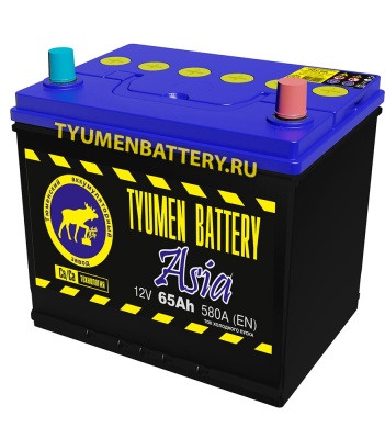 Тюмень Asia 65R обр. пол. 580A 230x172x221