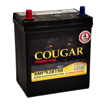 COUGAR Asia SMF 40Ah прям. пол. 340А 187x127x220 (42B19R) с бортиком, тонк.кл.